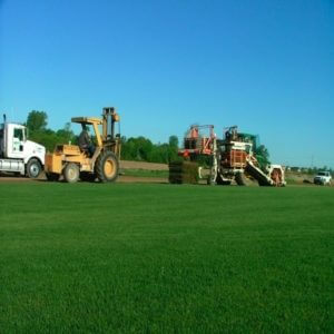 waltz green acres sod farm