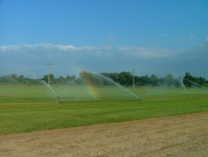 South East michgian sod farm